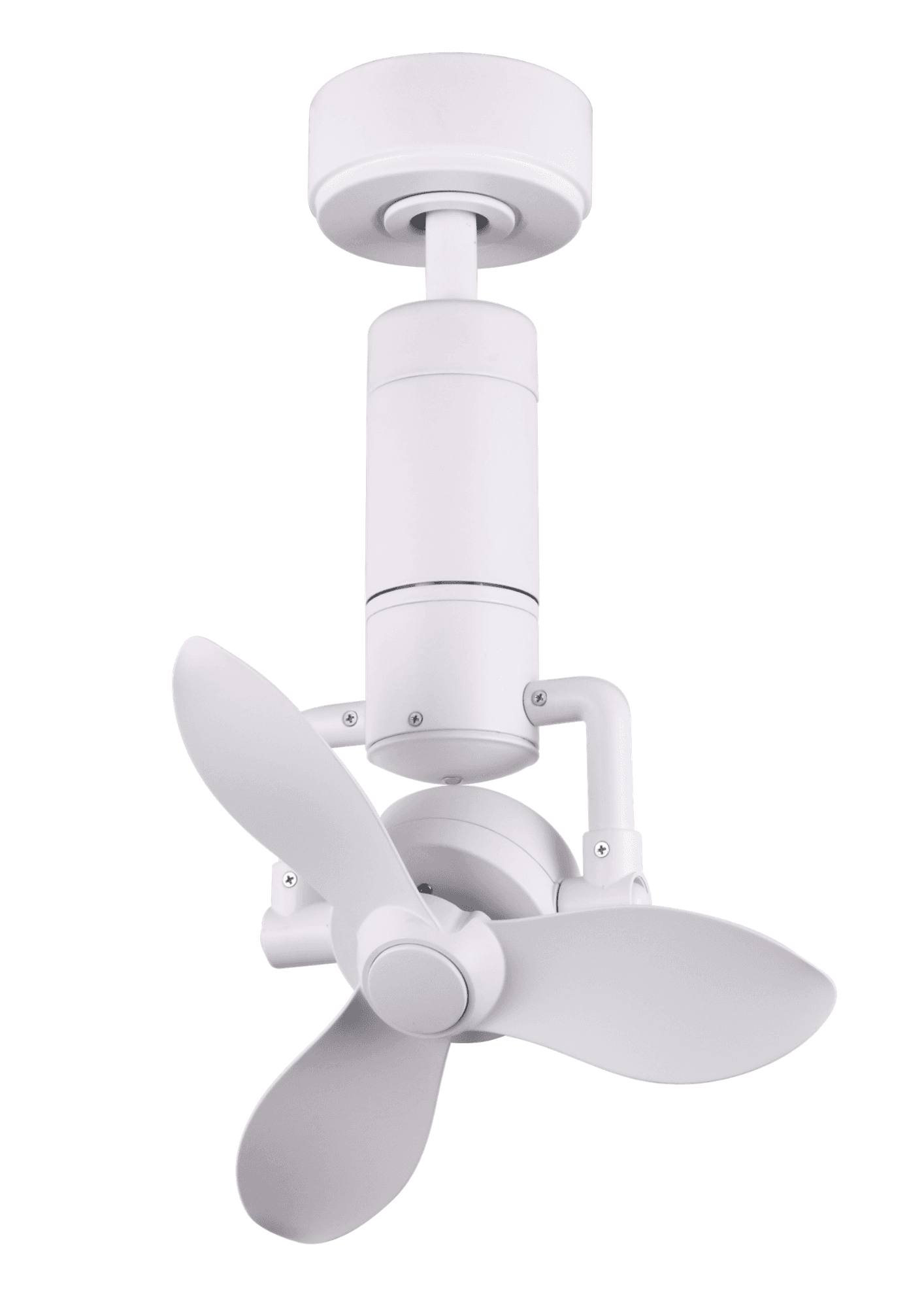 Rapid (VFR051), Volaris Fans