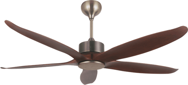 ACCURA, Decorative Ceiling Fans