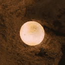 LSO-052, Outdoor Lights