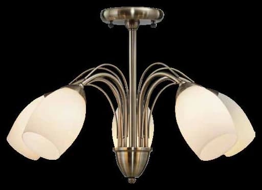Tulipe, Chandeliers